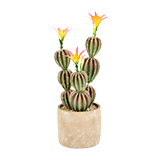 Floreros y plantas en macetas